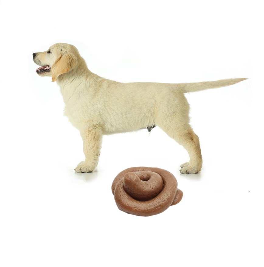 Divertido Juguete Blandito de  - Fake Poop Gag Gift reseña y precio