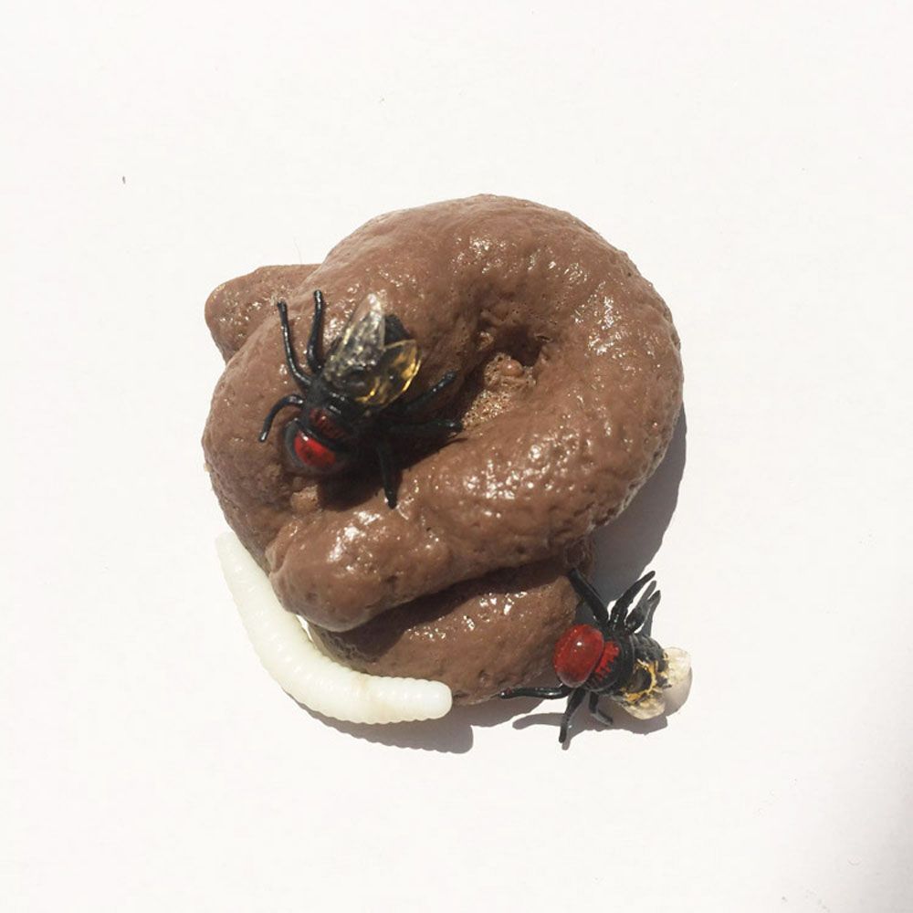 Broma realista, juguetes de mi - Fake Poop Gag Gift reseña y precio